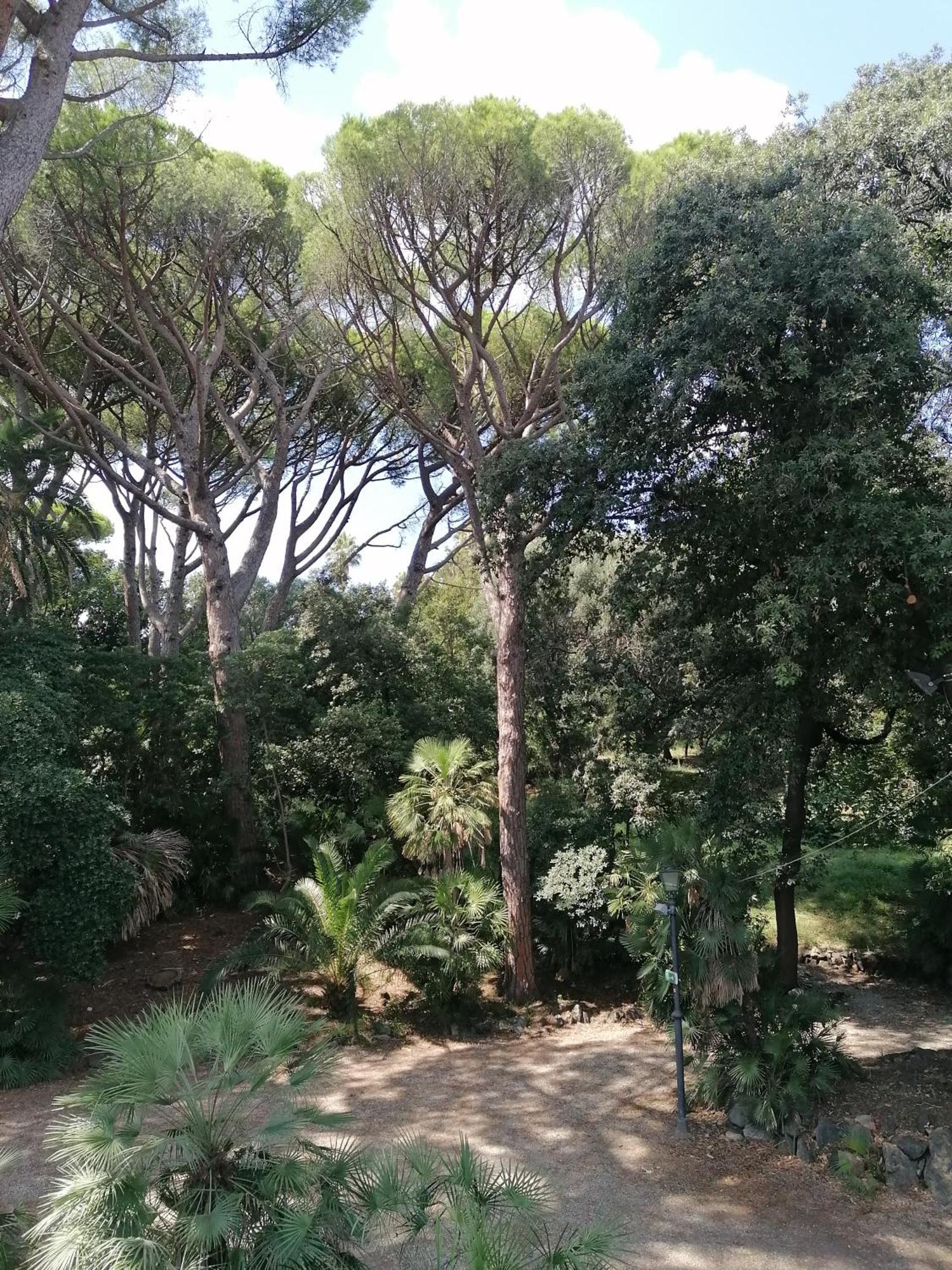 Villa Figoli Suites Arenzano Eksteriør billede